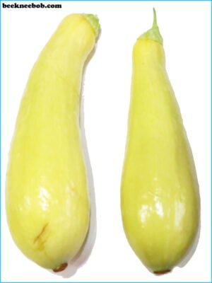 two yellow summer squash 